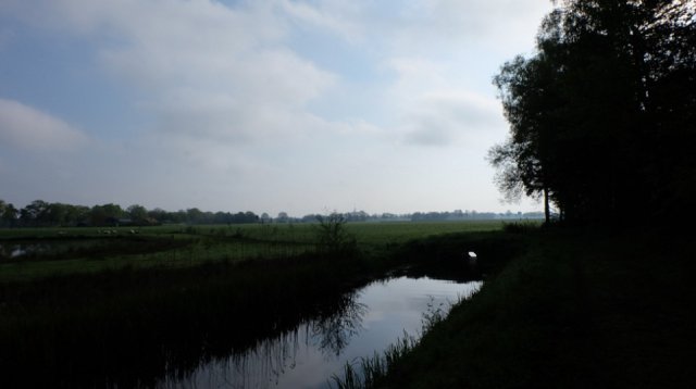 Dauwtrappen (donderdag 13 mei 2021)